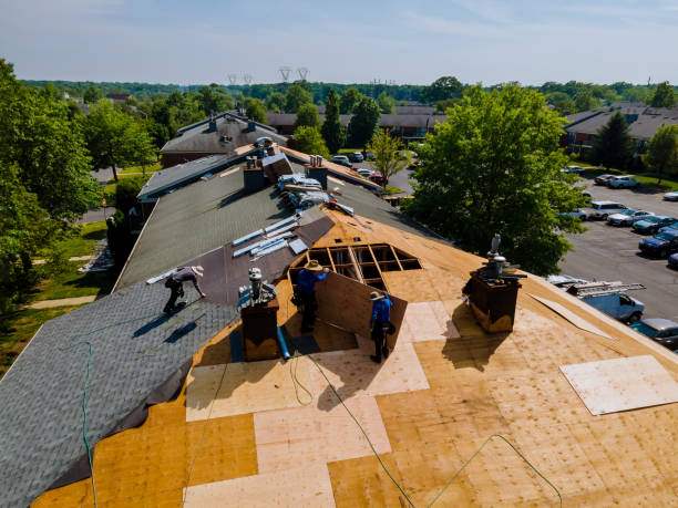 Quick and Trustworthy Emergency Roof Repair Services in Denver, CO