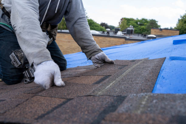 Quick and Trustworthy Emergency Roof Repair Services in Denver, CO