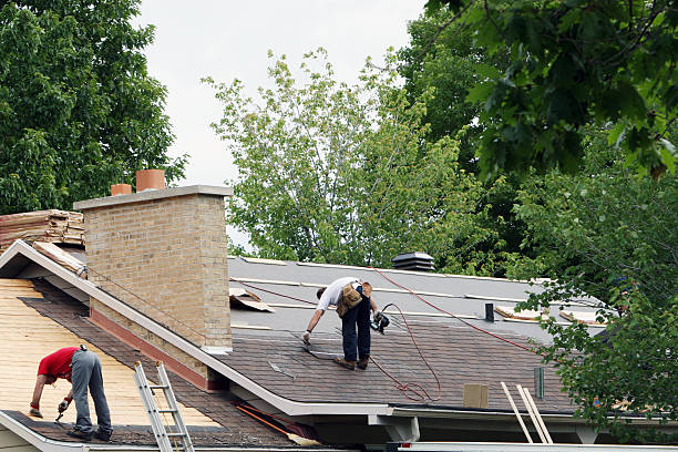 Best Roof Gutter Cleaning  in Denver, CO