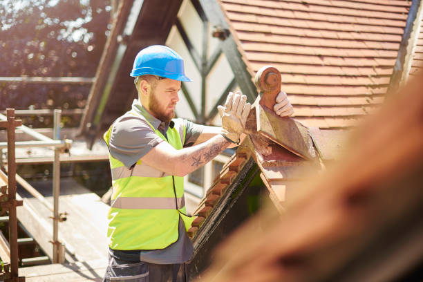 Professional Roofing Contractor in Denver, CO